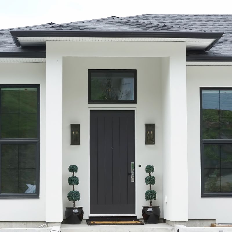 Contemporary Exterior Door